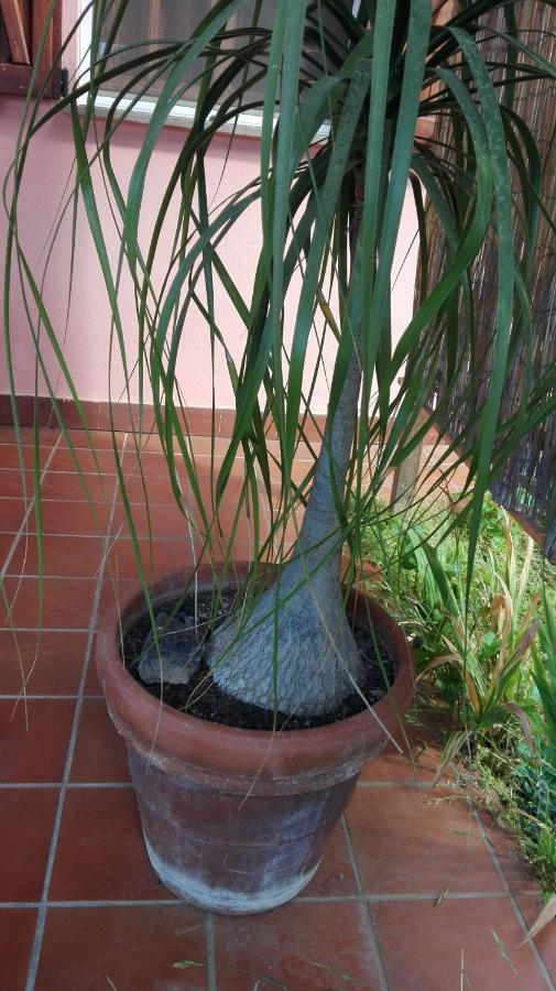 Chia Zeffiro Vila Exterior foto