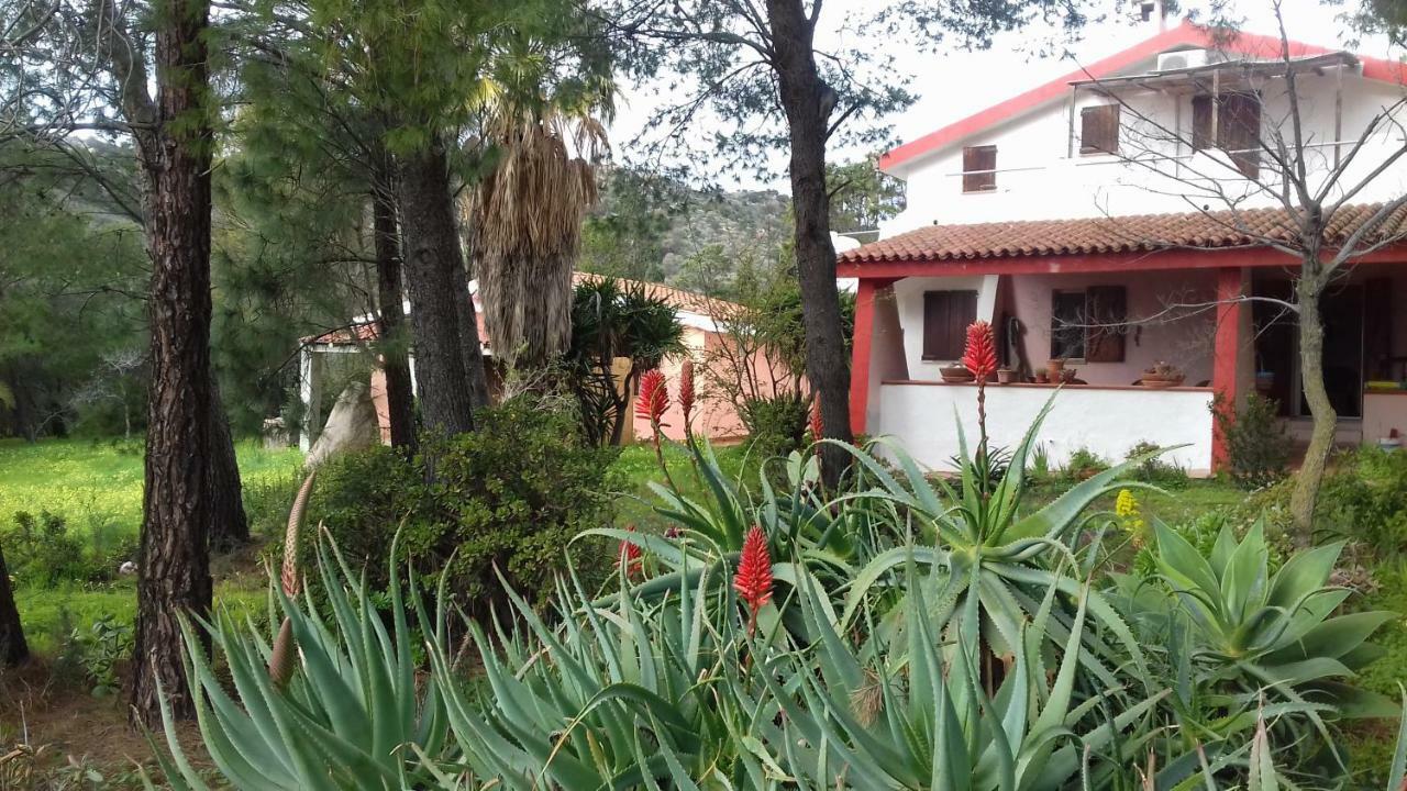 Chia Zeffiro Vila Exterior foto